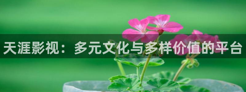 yy影院在线观看高清电影