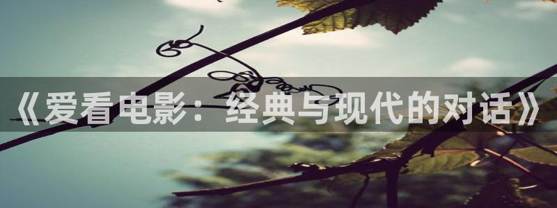 4yy影院
