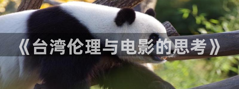 yy影院免费观看