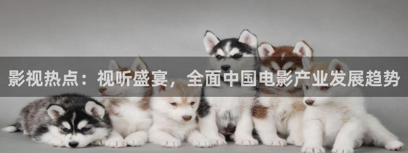 yy影院免费观看高清电视剧大全