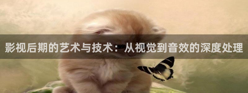 yy影院在线
