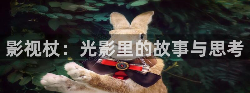 yy影院在线观看电视剧电影
