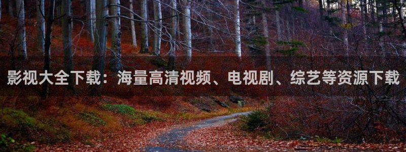 yy影院日韩电影